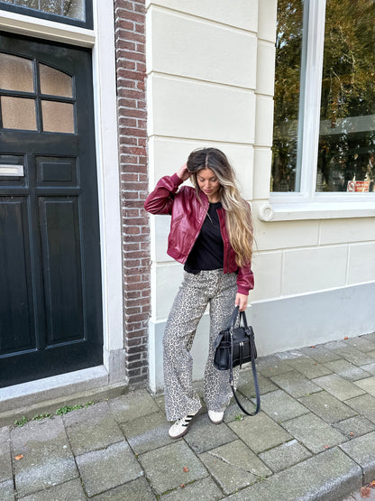 Women's Leather Bomber Jacket - Zip Front Ribbed Cuffs